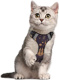 Egyptian Style Anubis Moon Cat Harness Set