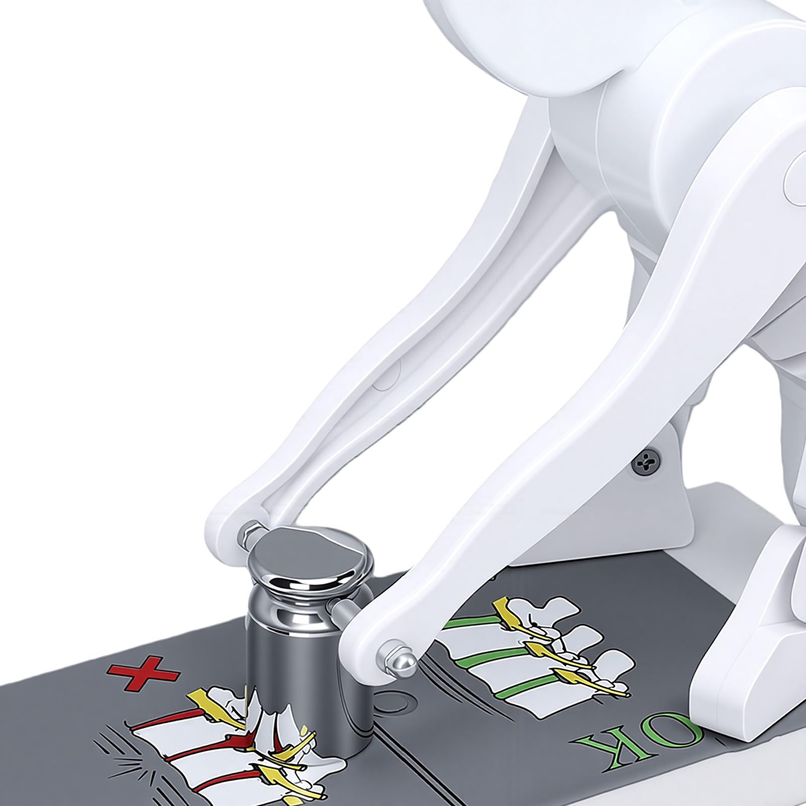 Yinhing Modello Dimostrativo di Sollevamento Pesi con Supporto di Base Modello Dimostrativo della Postura di Flessione del Corpo per L'educazione Alla Biomeccanica
