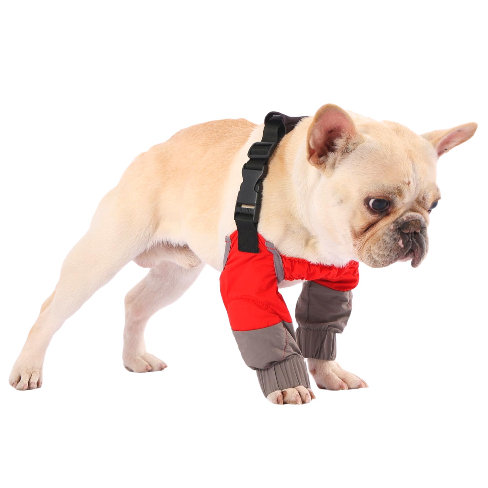 PetWarm Dog Front Leg Sleeves, Waterproof, Knee Protector, Grey, XL