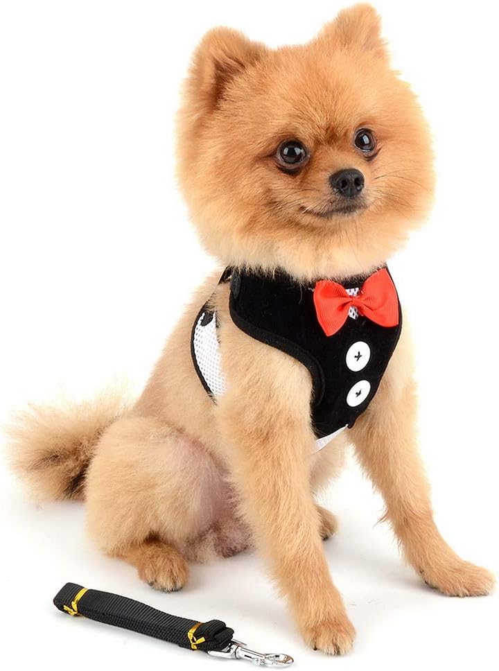SELMAI Vest Harnesses and Leash Set for Small Dog Cat Cute Pet Adjustable No Pull Boy Puppies Tuxedo Gentleman Suit Bow Tie Decoration Velvet Soft Mesh Padded Yorkie for Walking Leads Outdoor Black S