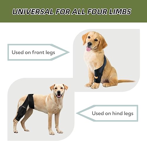 Miniatura 7 de Rodillera para perro para desgarro del ligamento cruzado anterior o trasero, displasia de cadera, artritis, lesiones de ligamentos, soporte de