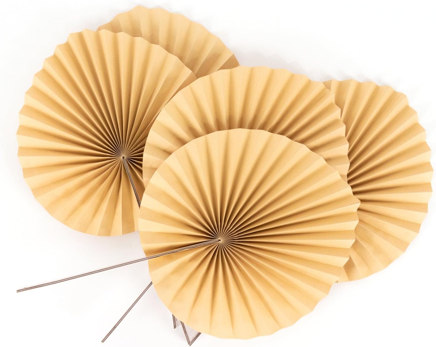 Efavormart 6 Pack 25 inch Natural Dried Tropical Palm Leaf Paper Fans, Handheld Folding Fans for Boho Farmhouse Wall Decor and Table Centerpieces