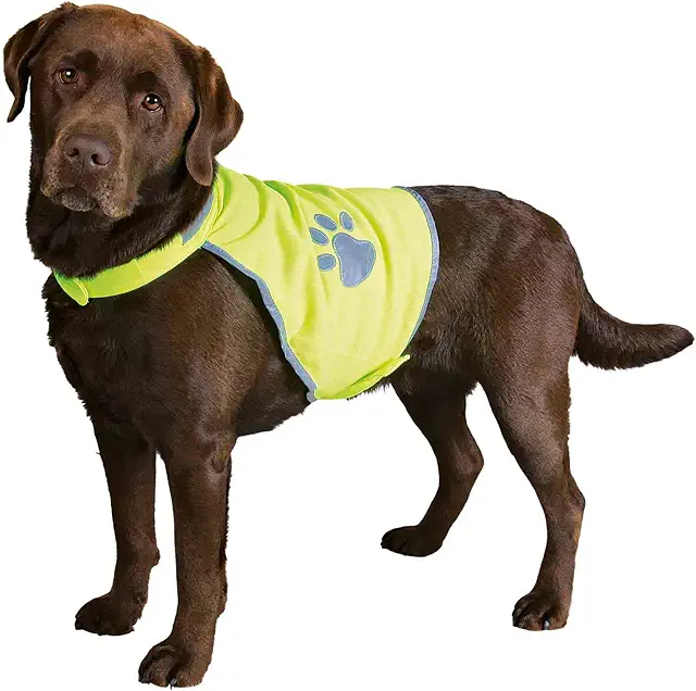 Gilet de Sécurité pour Chiens Taille M 50-68 cm - Gilet Chasse Chien