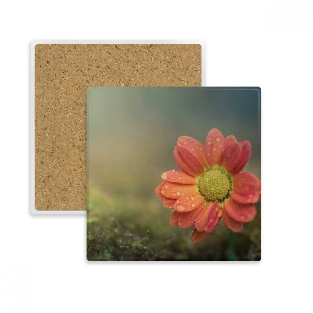 Cadeau boissons dessous de tasse rouge foncé fleurs en pierre absorbante