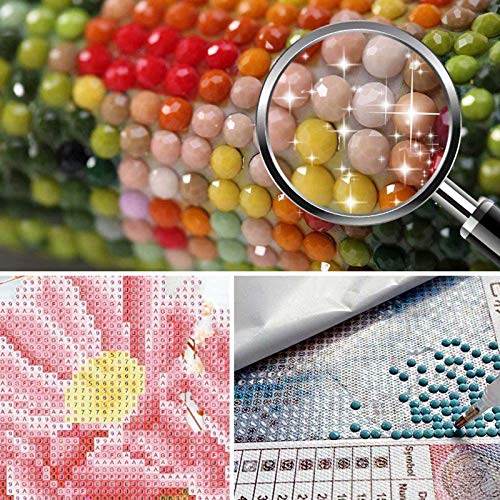 Pintura de diamante 5D DIY (conjunto por número), pintura de bordado de diamante e strass, arte de d