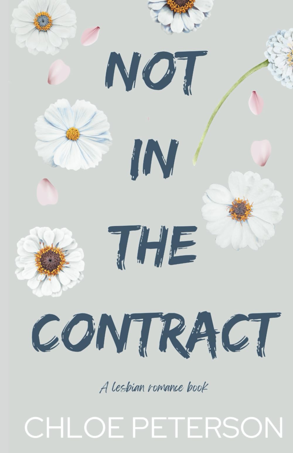 Not In The Contract (Unspoken Terms)
