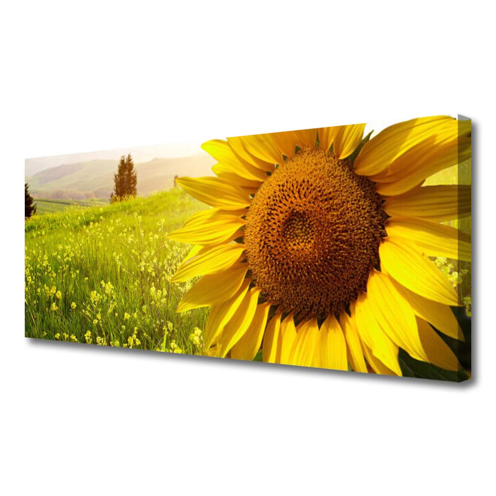 Tableau Décoration Tournesol Tulup 125x50cm Toile Imprimée Haute Définition