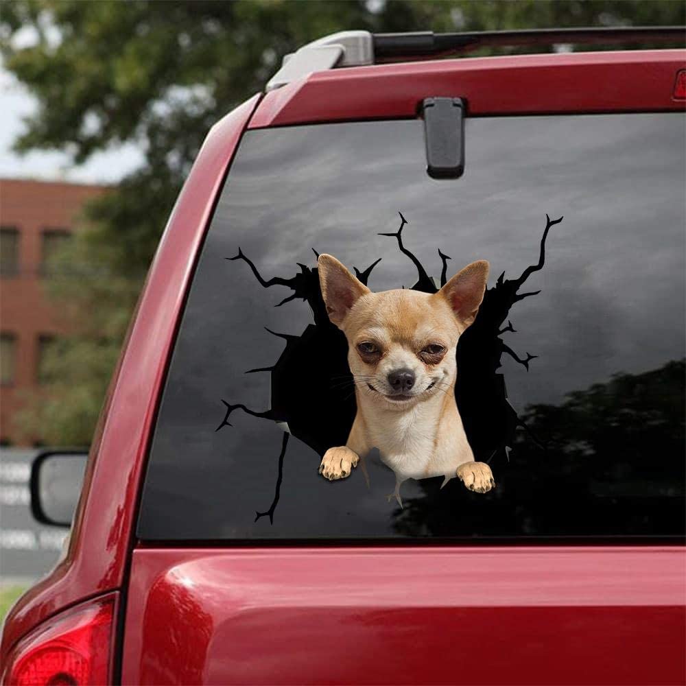 Fabisup Chihuahua Evil Car Decals, Wall Decals Stickers Realistic Car Stickers,Suv Window Glass Sticker Suitable For Cars, Notebooks, Refrigerators, Walls And Other Smooth Surfaces.