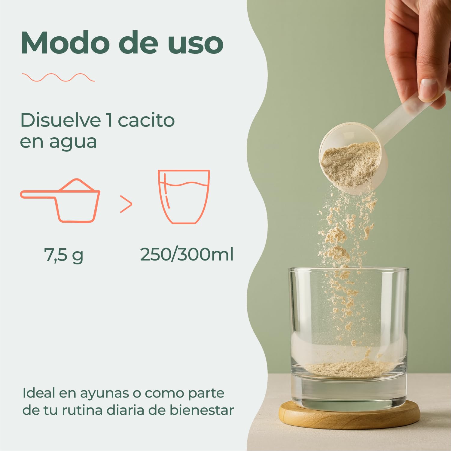 Fruver Super Greens en Polvo – Jugo Verde con 19 Superalimentos Naturales | Spirulina, Cúrcuma, Aloe Vera y Probióticos | Digestión Ligera, Energía y Vitalidad | Sin Azúcares Añadidos