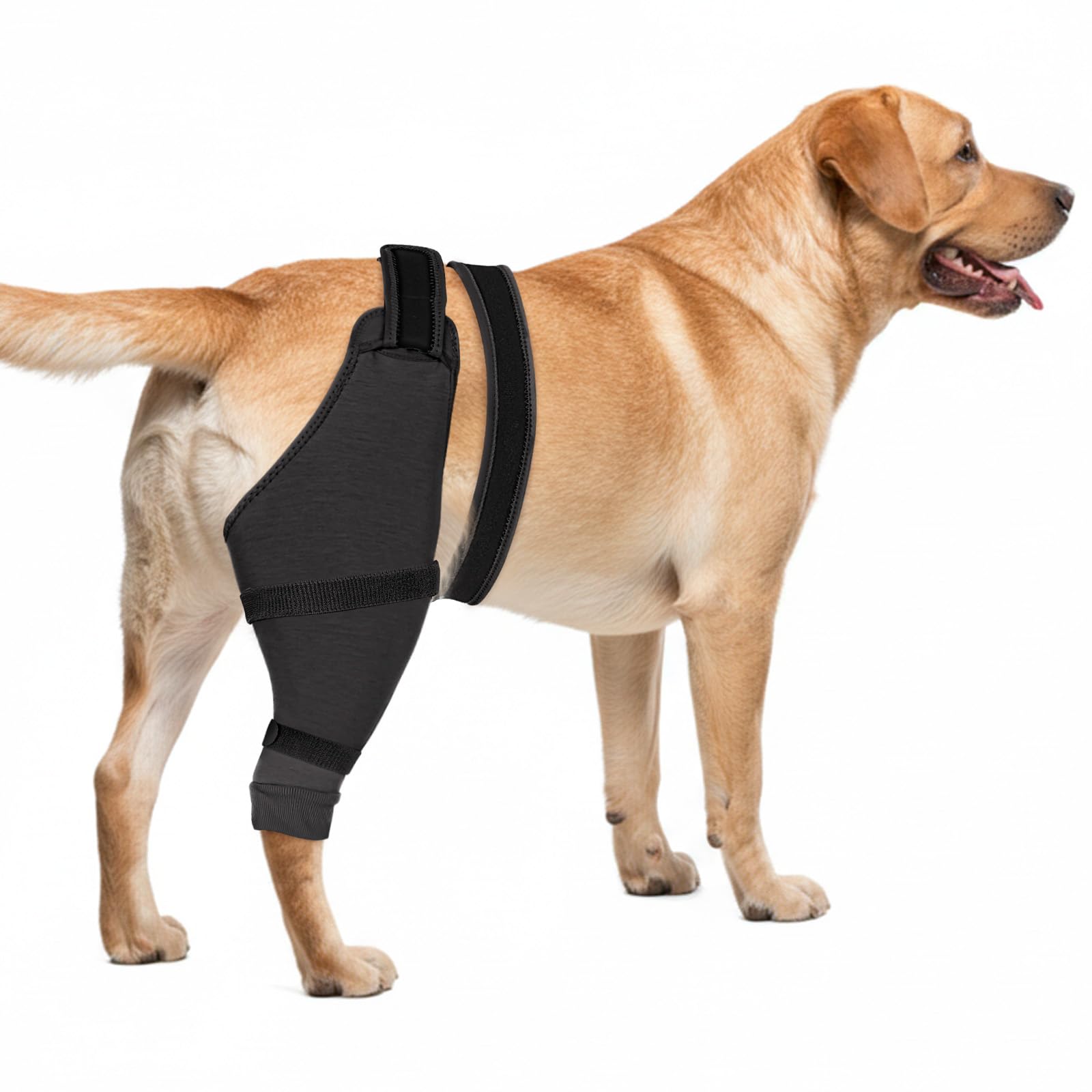 Photo 1 of Joypig Dog Rear Leg Sleeve to Stop Licking, Hind Leg Protector for TPLO Recovery, ACL Surgery, Wounds or Skin Issues, Soft Breathable Cover for Large Medium Small Dogs