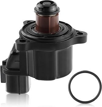 ルア 100000001005797938_10205.jpg