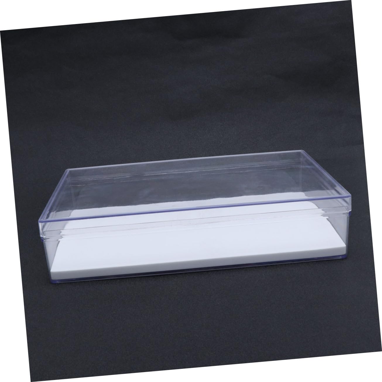 Cabilock Caja Expositor Transparente para Especímenes de Insectos Vitrina Multifuncional con Tapa Protectora Almacenamiento Duradero para Joyas Monedas y Manualidades
