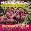 Organic Beet Root Gummies with L-Citrulline & L-Arginine, Nitric Oxide Supplements for Men and Women, Grape Seed, Pomegranate, Saffron for Circulation, Vascular & Vitality, Vegan, Sugar Free, 120 Cts