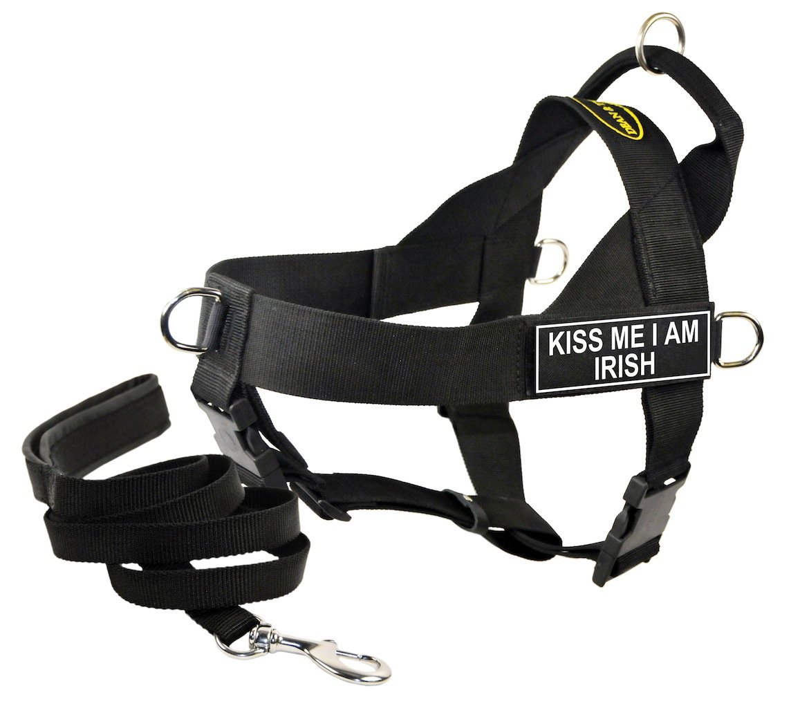 Harnais grand chien DT Universal Kiss Me laisse rembourrée 1,8m accessoire promenade nylon robuste