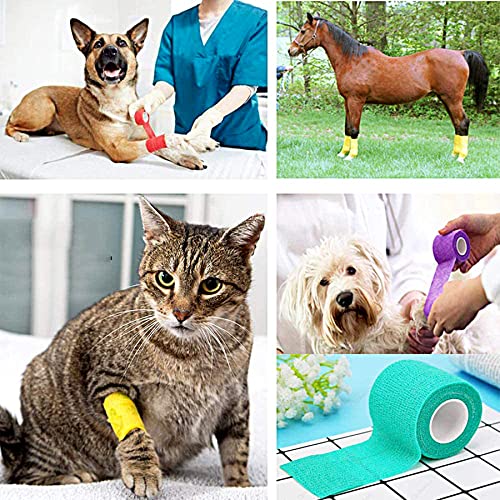 JpGdn 24 Roll Vet Wrap Bandages for Dogs Horses 2 Inch*5Yard Cohesive Medical Tape Self Adhesive Tape Flex Leg Wrap Adherent Non-Woven for Dog Cat Horse Pet Animals