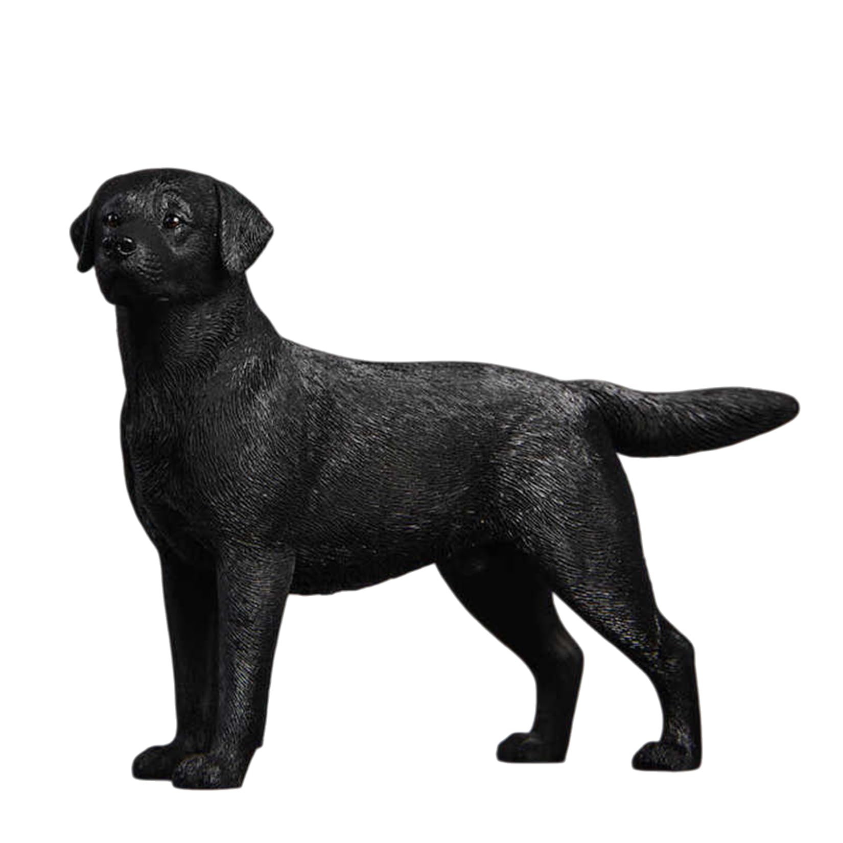 Amazon.co.jp: JXK 1/12 サイズ ラブラドール・レトリバー 可愛い 犬