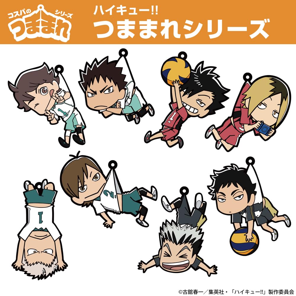 Amazon.co.jp: 【公式】コスパ ハイキュー!! 岩泉 一 つままれ