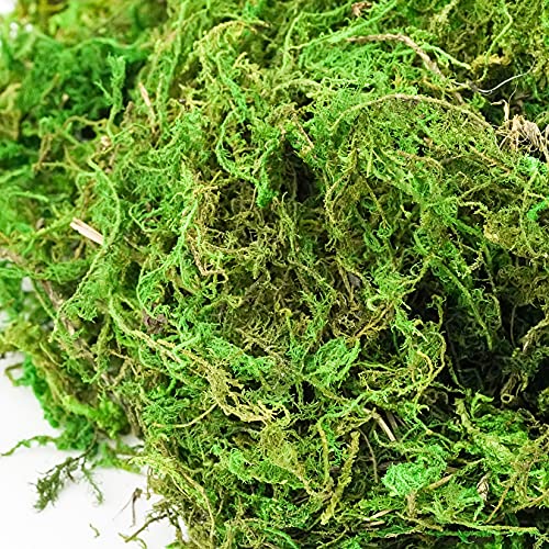 Fengek 2 Packs Artificial Moss Floral Decorative Fake Moss For Pot Plants Garden Crafts Flowers, 7 Ounce, Green #TOP2