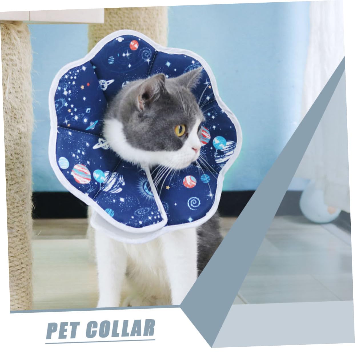 Didiseaon 4 Pezzi Collare A Cono Composto Cono Per Cani Alternativa Dopo L'Intervento Gatto Morbido Collare A Per Gatti Collo Di Gatto Per Gatti