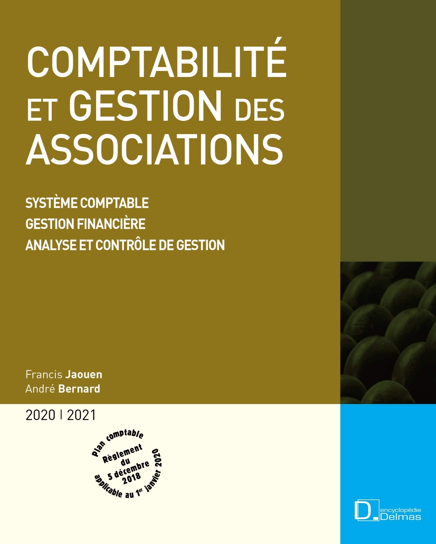 Comptabilité et gestion des associations 2020/2021. 13e éd. - Système comptable . Gestion financière . Analyse et contrôle de gestion