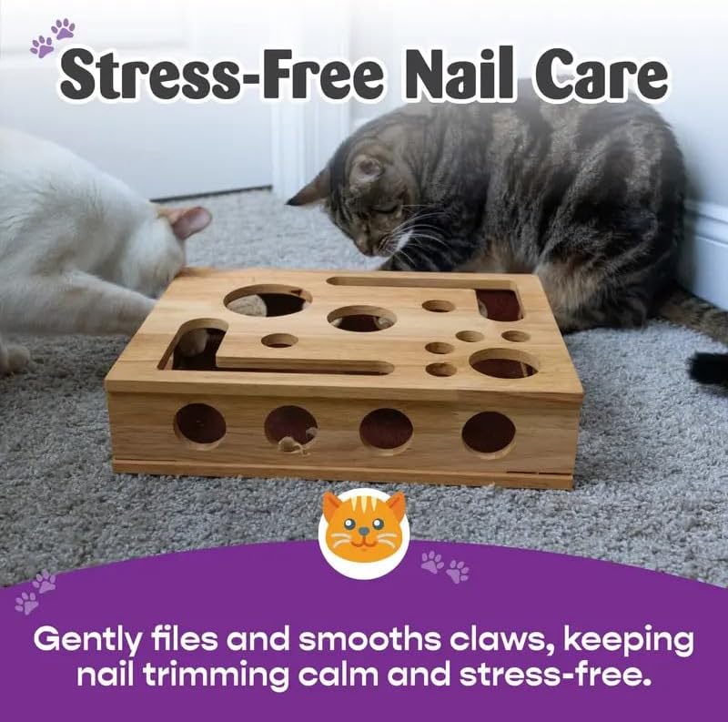 Cat Scratch Puzzle Enrichment Box: Nail File Stress Free Alternative to Clippers and Grinders