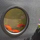 Hozelock Outdoor Aquarium - Terrassenteich 100 x 100 x 70 cm mit Flechtwänden inkl. Fenster, Schwarz