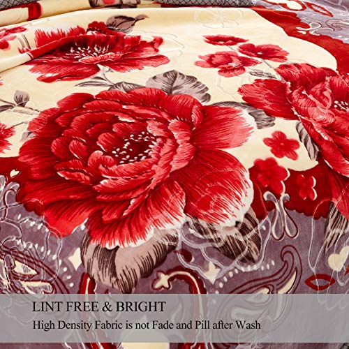 Jyk Plush Blanket Queen Size – 8Lbs 2 Ply Reversible Soft Fuzzy Warm Korean Style Faux Mink Fleece Bed Blanket For Autumn Winter #TOP3