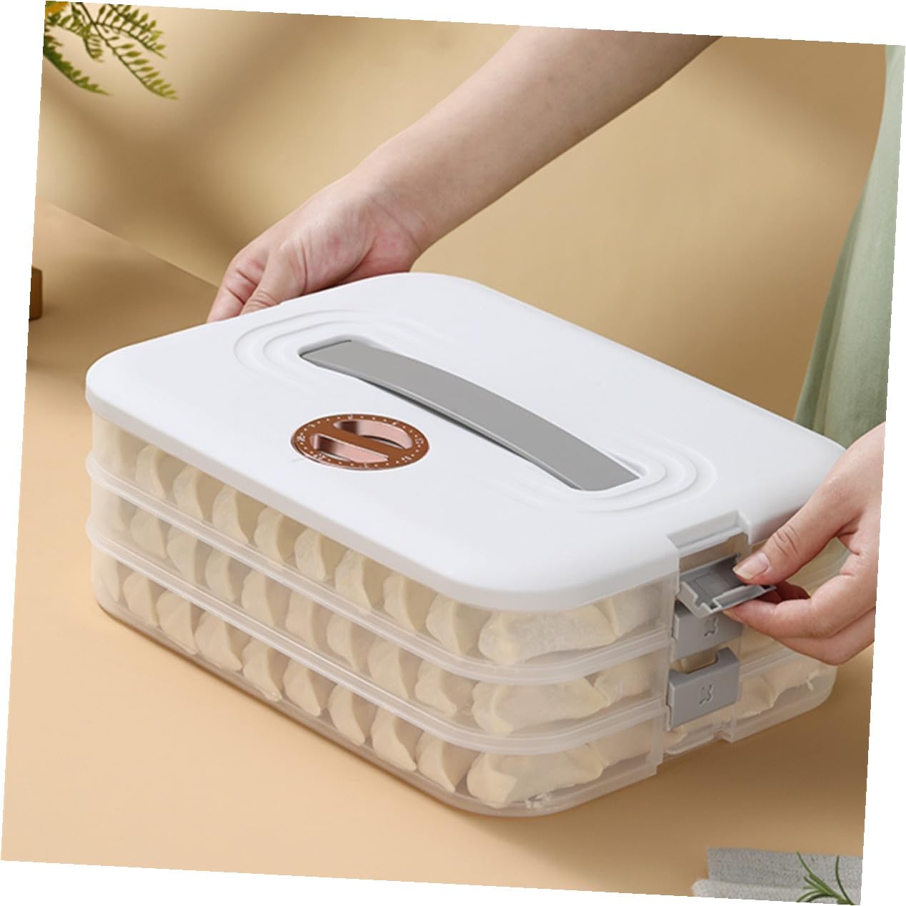 VALICLUD Boîte de Rangement pour Raviolis à Couches avec Couvercle Boîte Hermétique pour Réfrigérateur et Congélateur Compacte et Résistante pour Maison Blanc Réutilisable