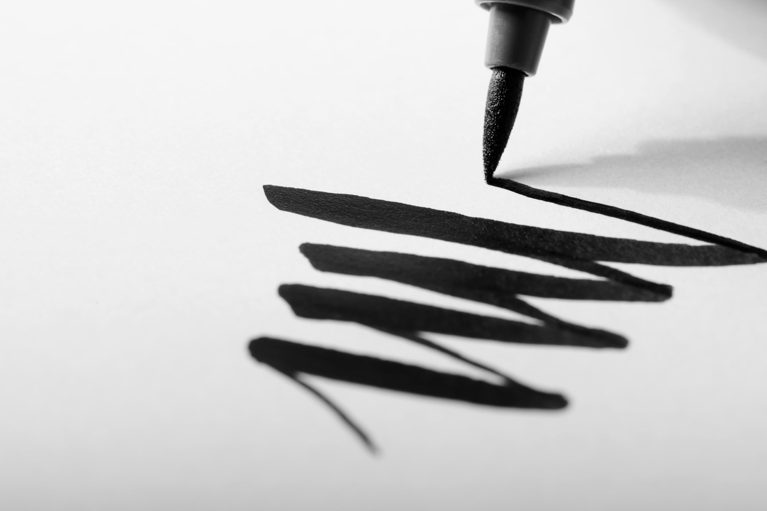 STAEDTLER 371 Pigment Brush Pens | Pigment Arts Adult Fibre-Tip Colouring Pen | Ideal for Calligraphy, Brush Lettering, Drawing, Illustrations | Beginners to Professionals (Wallet of 6, Pastel Set)