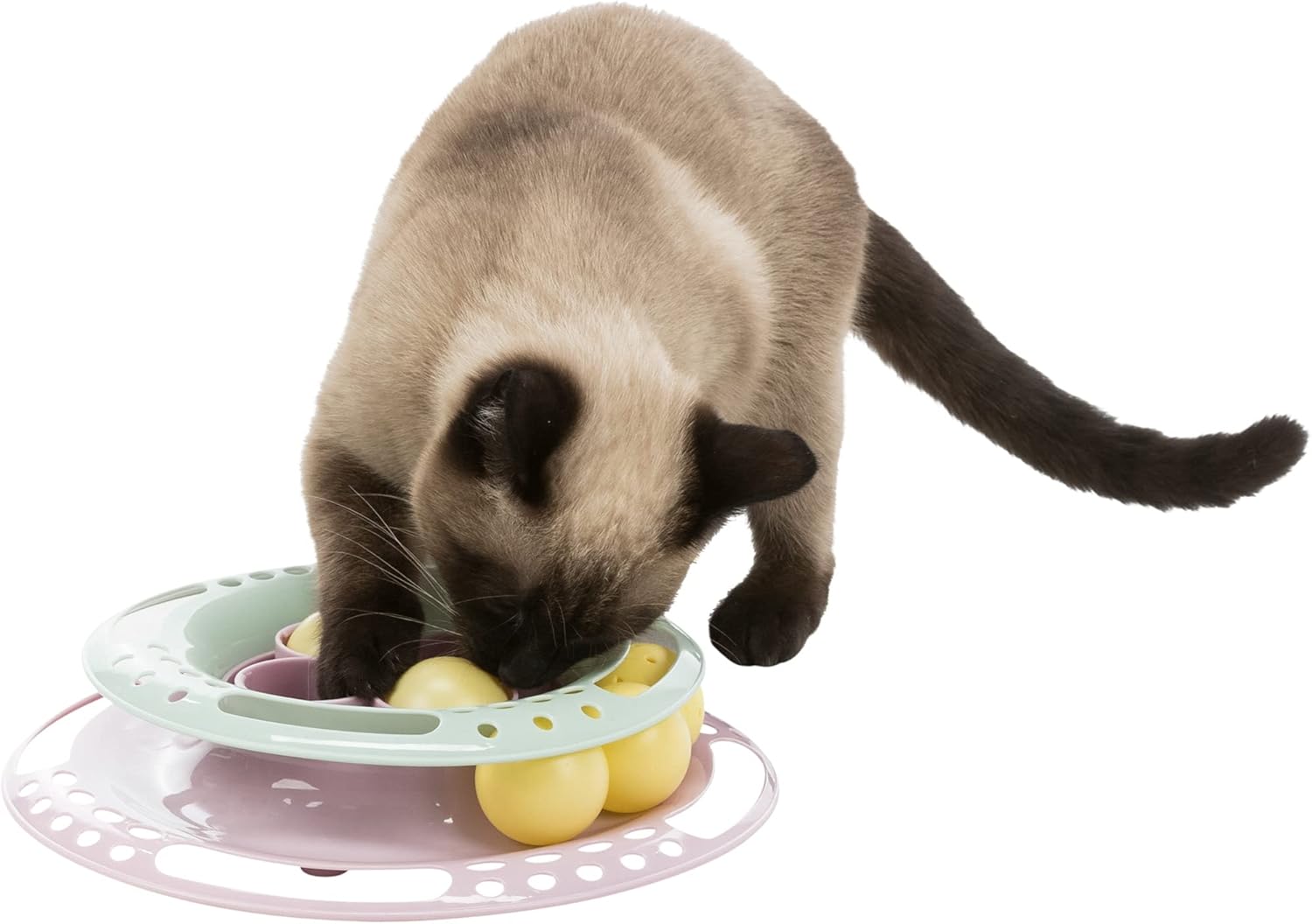 Trixie Junior Cat Activity Circle Track, Chase Track, Cat Toy, Interactive Toy