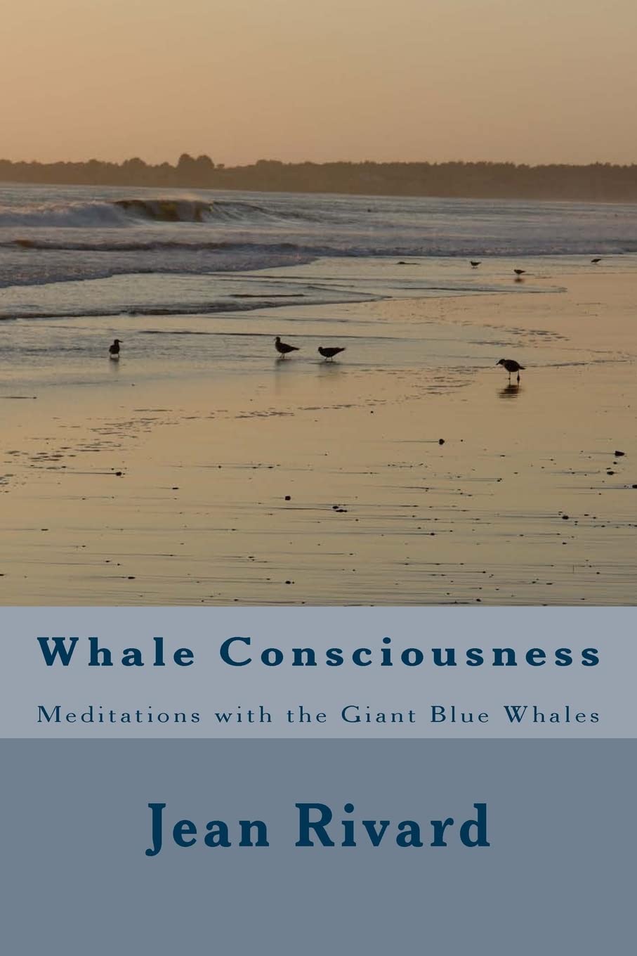 Whale Consciousness: Meditations with the Giant Blue Whales