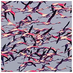 Gore by Unknown Artist — album cover