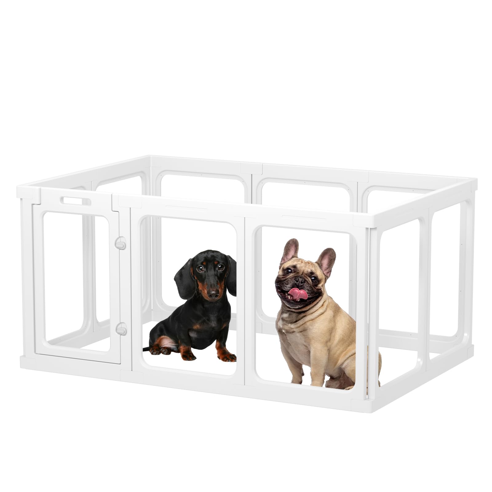 Gardner Pet Recinto per Cani in Acrilico Trasparente, 10 Pizzi, Bianco | Antigraffio e Antiscivolo, Parco Modulare Interno Esterno per Cuccioli, Gatti, Conigli e Animali Piccoli, Facile da Pulire