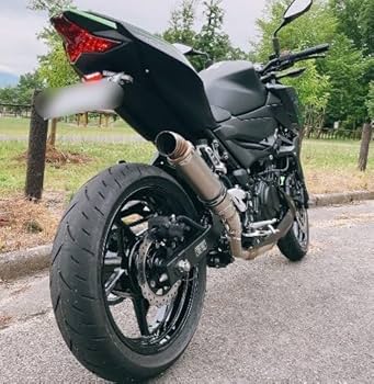 Amazon | Willthinleye バイクサイレンサー スリップオン