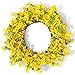 Yellow Forsythia Door Wreath 18 Inch Artificial Handcrafted Wreath Summer Front Door Decor Seasonal Door Accent for Many Rooms