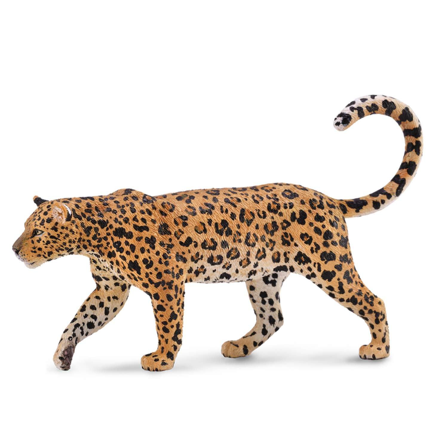Amazon.co.jp: Collecta 88866 African Leopard 141［並行輸入