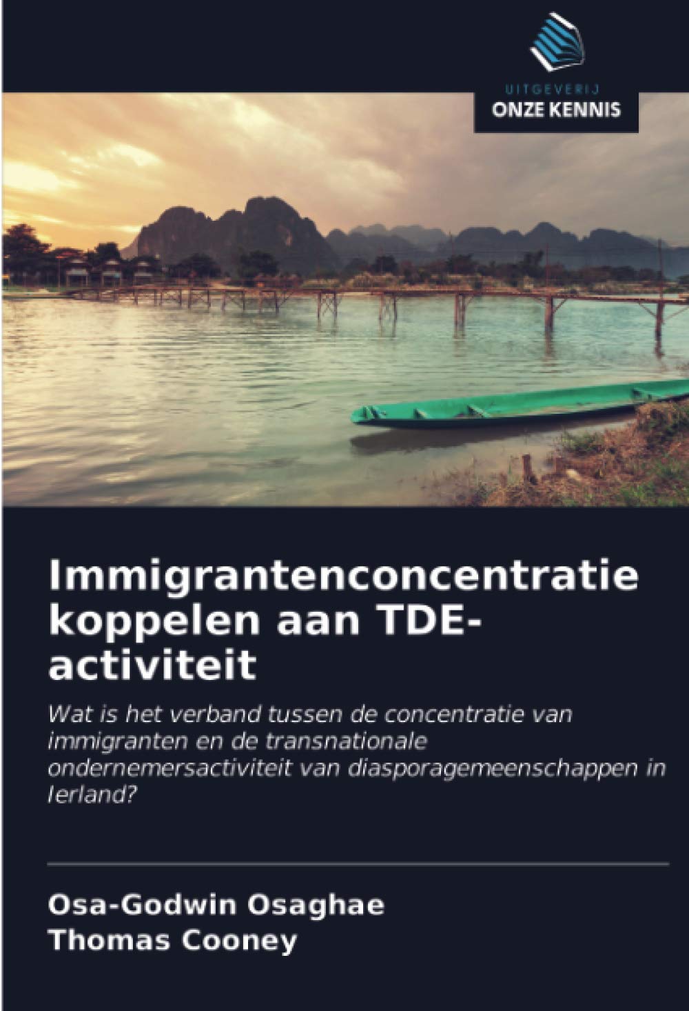 Immigrantenconcentratie koppelen aan TDE-activiteit: Wat is het verband tussen de concentratie van immigranten en de transnationale ondernemersactiviteit van diasporagemeenschappen in Ierland?