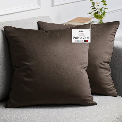 lalaLOOM - Juego de 2 fundas de terciopelo para almohadas, fundas cuadradas para decoración del hogar, fundas sedosas para sofá, dormitorio, sala de