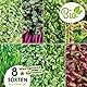 valeaf BIO Microgreens Set I 8 Sorten Sprossen Samen Pflanzset mit Keimsprossen und Microgreens Samen I inkl. Kressesamen, Alfalfa Samen I Samen Anzuchtset Microgreens Kit für Sprossen Keimgerät