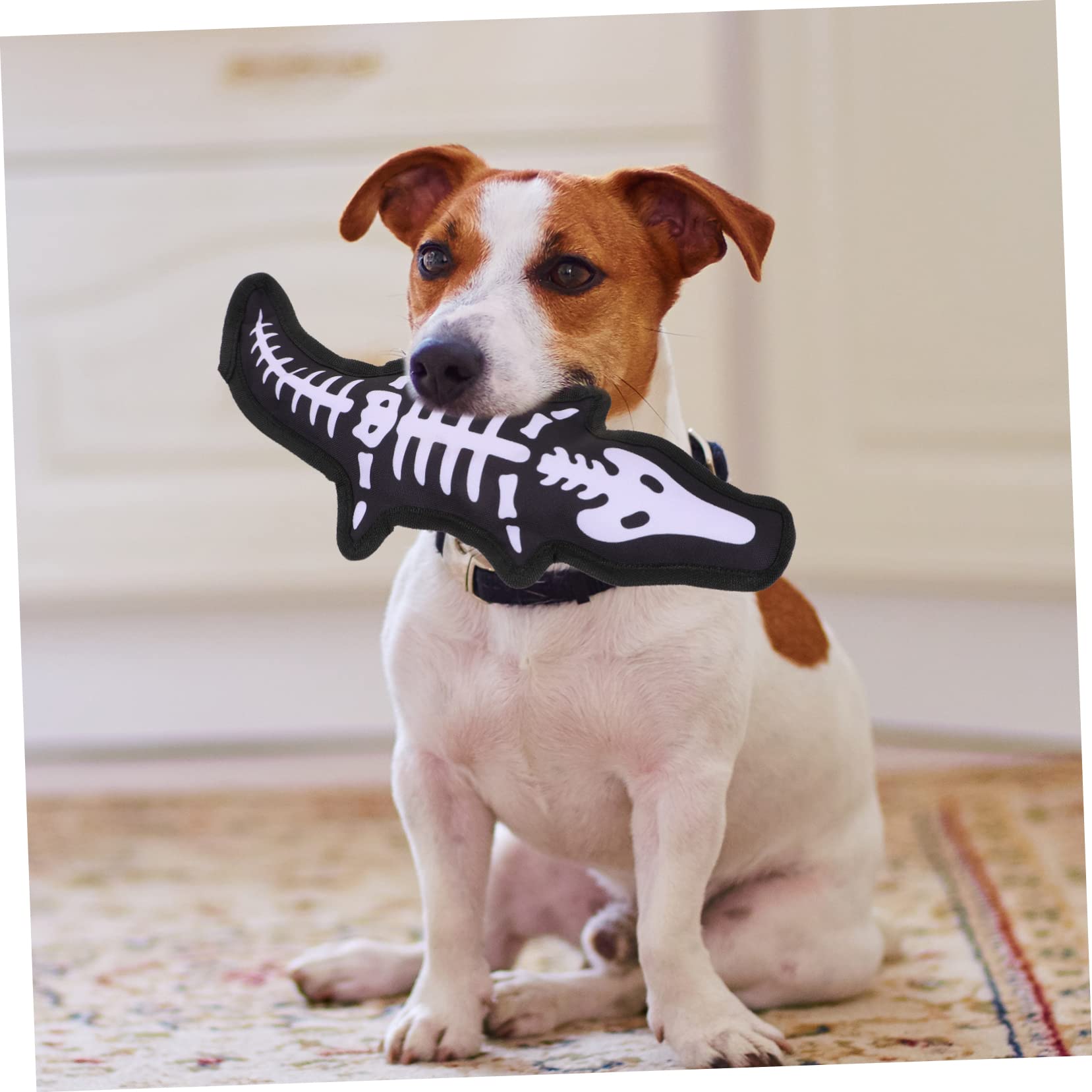 BESPORTBLE 1pièce Jouet à Mâcher pour Chiens Squeaky Jouet Molaire Interactif Oxford pour Petits Animaux Améliore Être Émotionnel Et Favorise La Santé