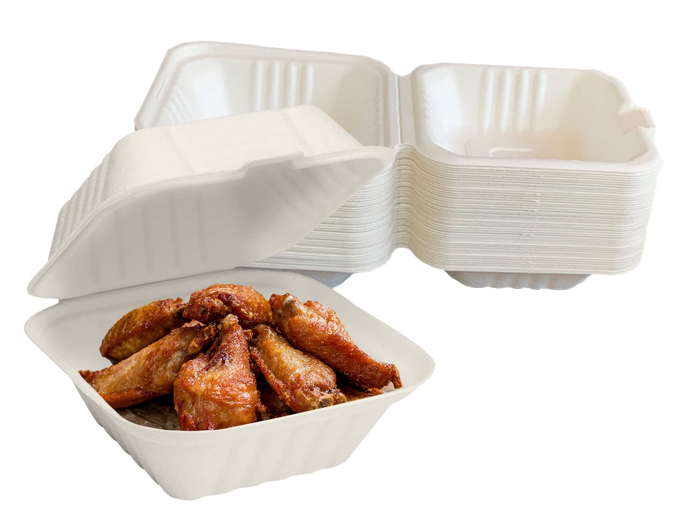 Buy Raj Eco To Go Containers 50 pack 6" Take out food containers