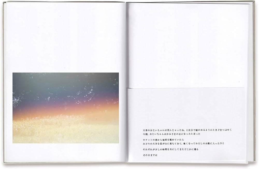 Amazon.co.jp: as it is : 川内倫子: 本