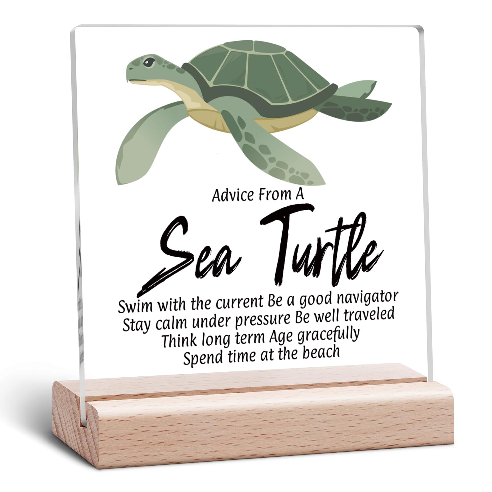 Turtle Gift Sea Turtle Decor Inspirational Clear Desk Decorative Sign Acrylic Plaque Ocean Gifts for Animal Lover Ocean Lover Office Desk Sign Funny