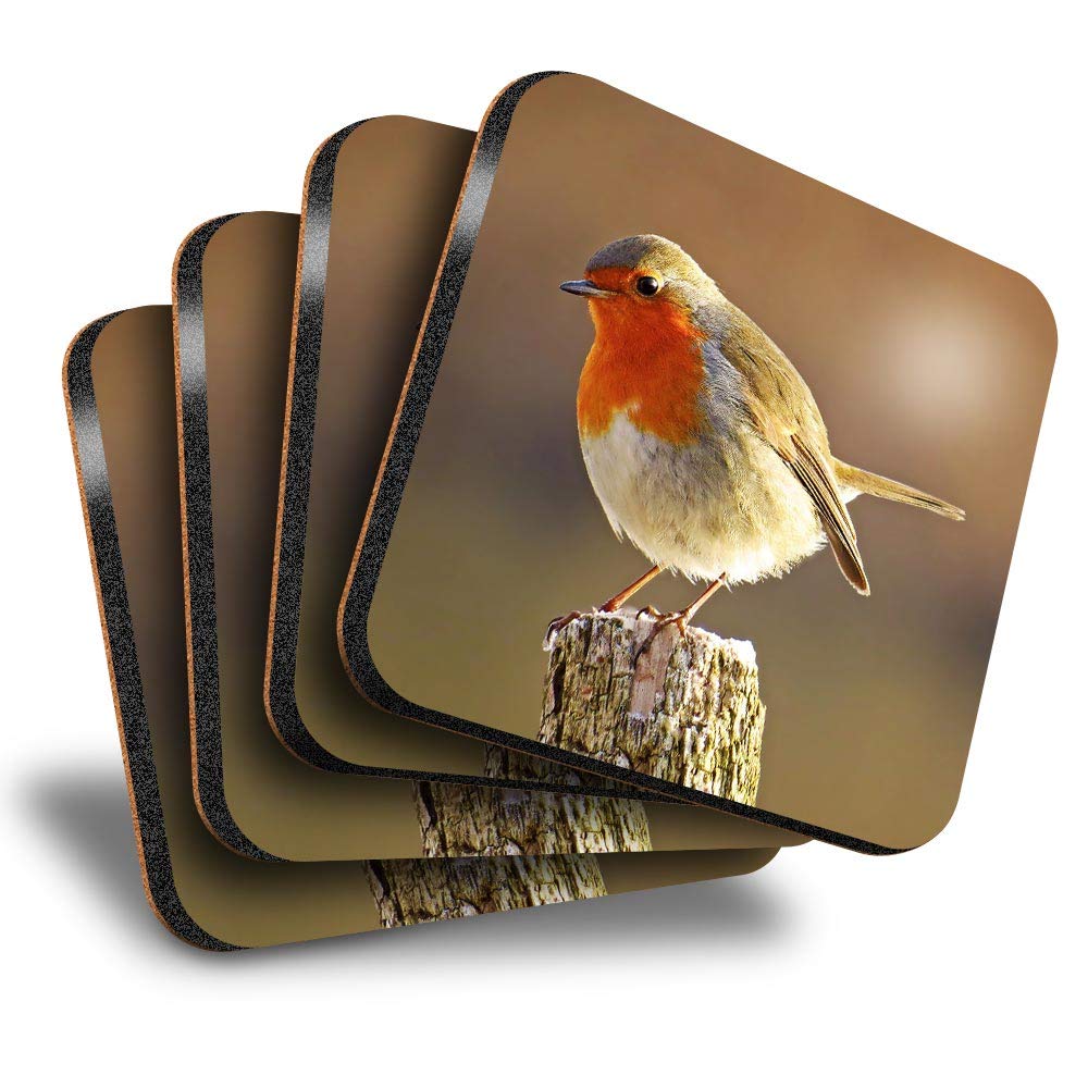 Destination Vinyl Ltd Great Coasters (Set of 4) Square - Robin Redbreast Bird Animals Birds Drink Glossy Coasters/Tabletop Protection for Any Table Type #8701