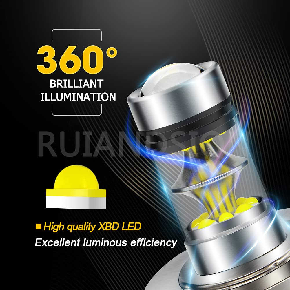 Ampoule Halogène Moto Ruiandsion P45T - 12V/24V, 60W, Blanc - Compatible Phare HR2, DRL, Feux De Route - Garantie 1 An
