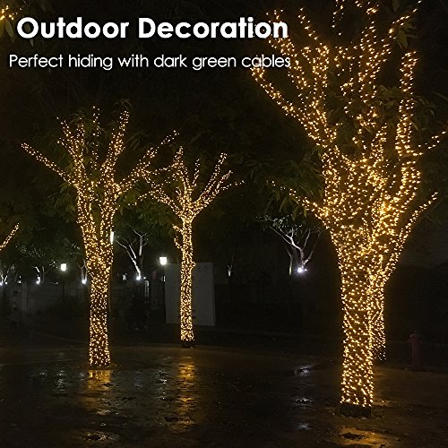 Rpgt 200 Leds 73Ft Green Cable Wire Fairy String Tree Twinkle Lights 8 Modes For Christmas Party, Outdoor, Garden, Wedding, Home Decoration (Warm White) #TOP3
