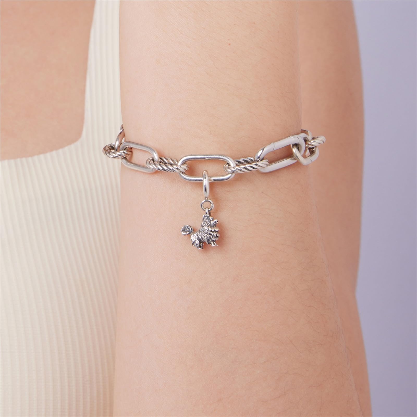 ZUOHUI Charm de perro Pomerania en plata de ley S925. Compatible con pulseras Pandora, Biagi, Troll y Chamilia. Un bonito regalo de joyería DIY for cumpleaños, Navidad y amantes de las mascotas.
