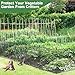 Hanured® 5 Stück Garten zaun für draußen, Dekorativer Gartenzaun mit Tor, Metall Steckzaun für Hund, 81 cm(H) X 3,5 m(L)