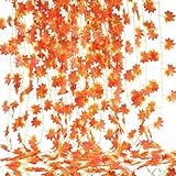HUAESIN