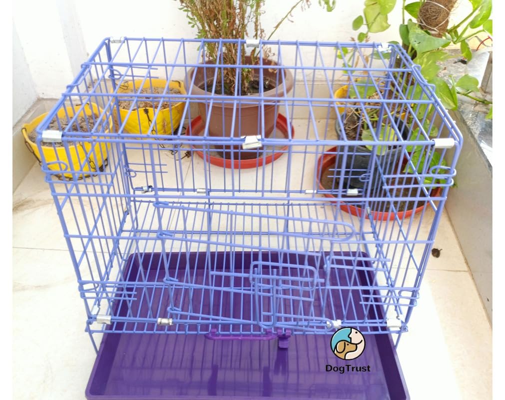 Dog Trust Dog cage Crates Cage Kennel Inch Suitable for Extra Large Adult Dog Purple Colour (Purple (Size 24 inch) Medium) (B0C96Q6YQJ) Amazon Price History, Amazon Price Tracker